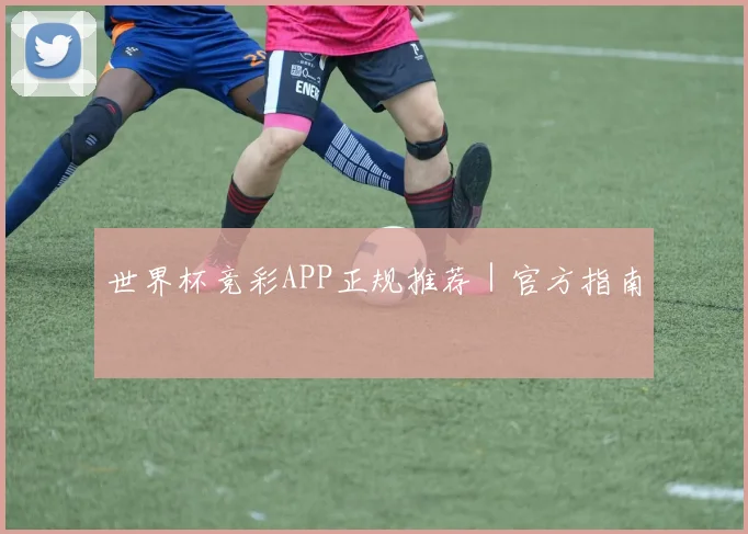 世界杯竞彩APP正规推荐｜官方指南